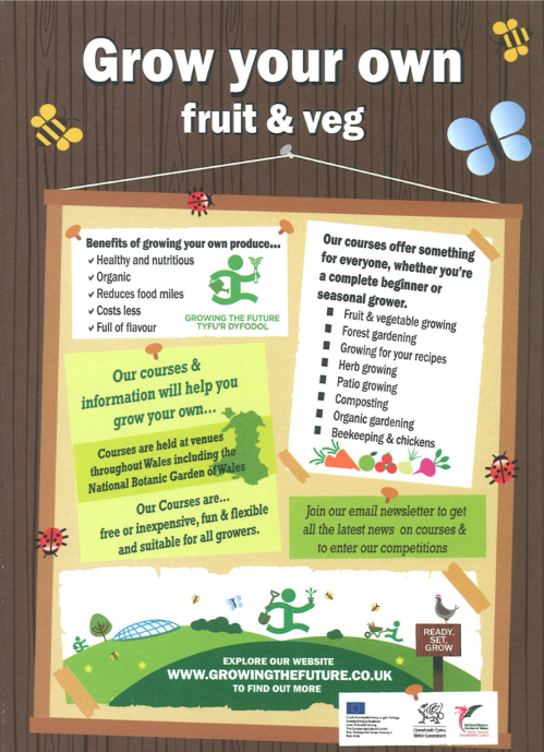 Grow your own Fruit & Veg!